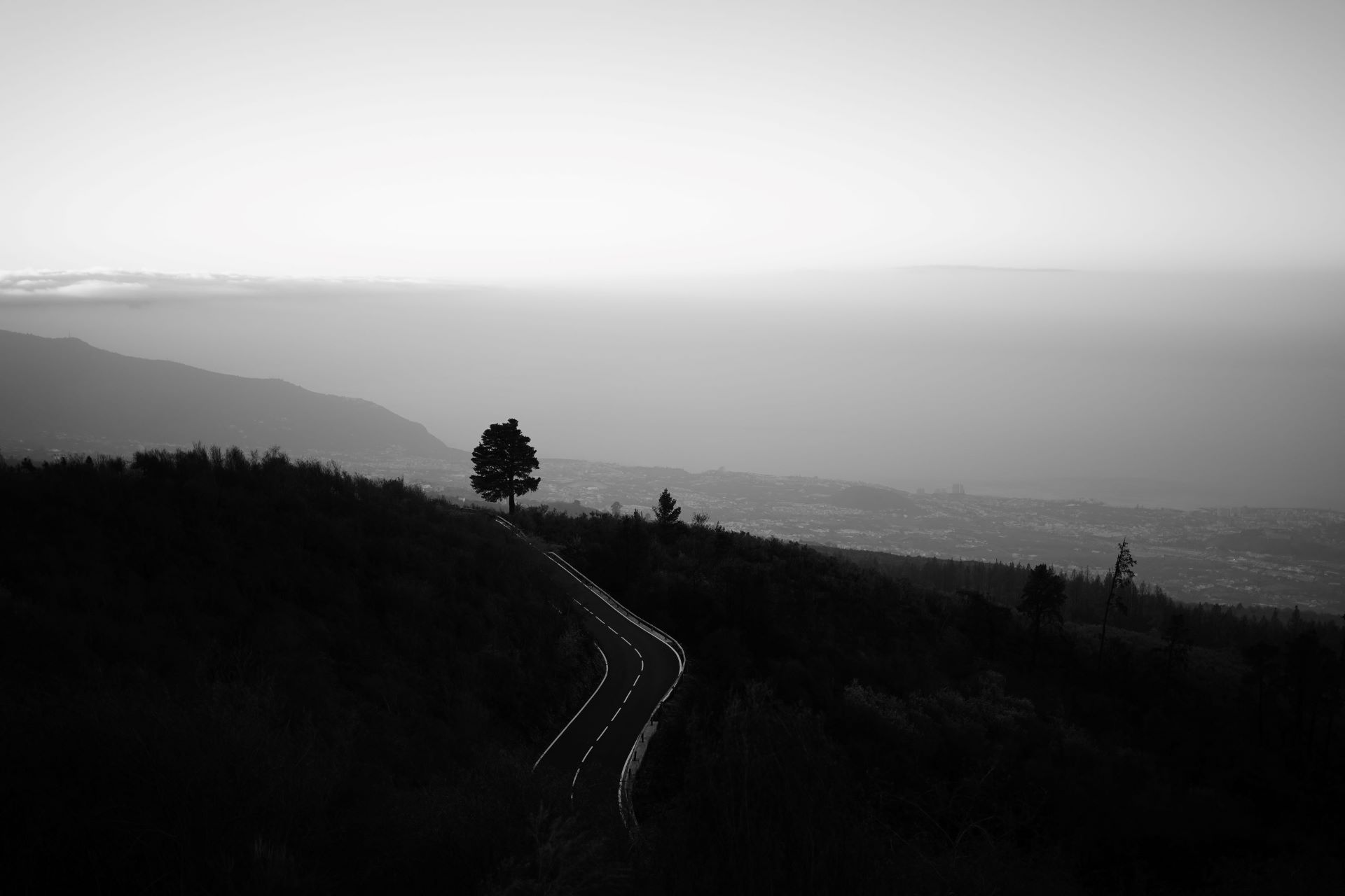 Natur.Mehr.Bild.Teneriffa_Straße_minimalistisch